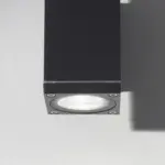 DION - Image 3
