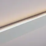 MOMO - Image 2