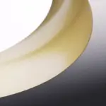 BELA - Image 3