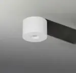 WILLY - Image 2