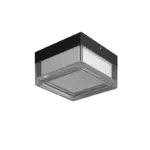 WEST - Image 3
