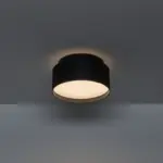 FORTE - Image 3