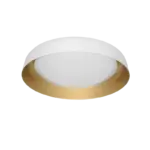 BELA